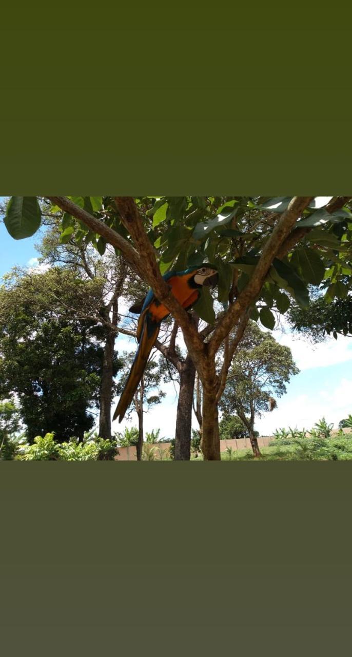 Pousada Café da Roça Campos Gerais Exterior foto